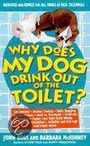 Why Does My Dog Drink Out of the Toilet?