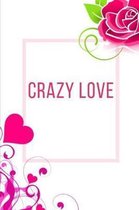 Crazy Love Workbook