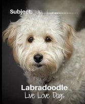 Labradoodle - Live Love Dogs!