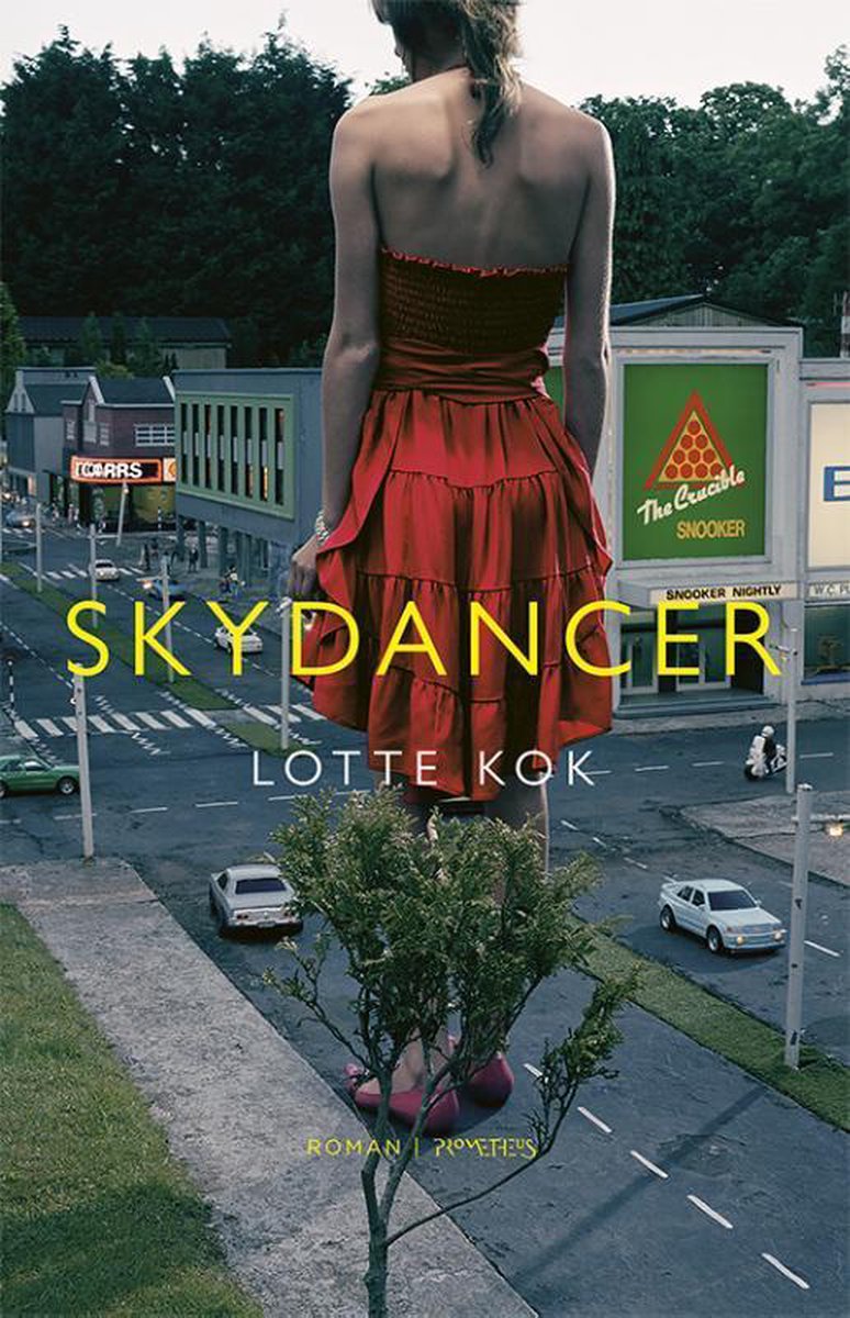 Skydancer - Lotte Kok