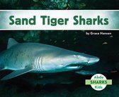 Sand Tiger Sharks