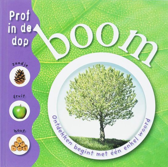 Cover van het boek 'Boom'