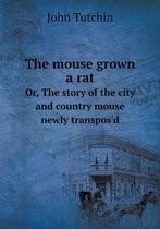 The mouse grown a rat Or, The story of the city and country mouse newly transpos'd