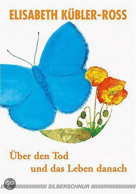 Über den Tod und das Leben danach - cover