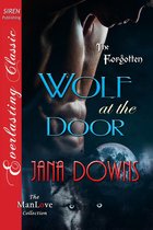 The Forgotten - Wolf at the Door