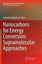 Nanocarbons for Energy Conversion