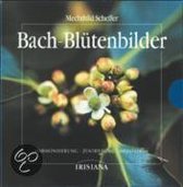 Die Original Bach-Blütenbilder