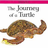 The Journey Of A Turtle