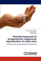 Prenatal exposure to progesterone suppresses reproduction in male mice