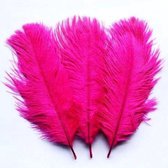 Decoratie Veren Roze - 40 gram