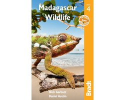 Madagascar Wildlife