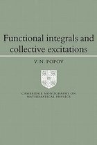 Cambridge Monographs on Mathematical Physics- Functional Integrals and Collective Excitations