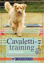 Hundesport - Cavalettitraining für Hunde