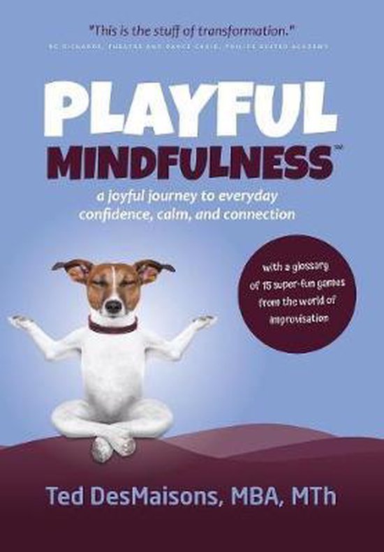 Playful Mindfulness - cover