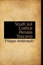 Studi Sul Codice Penale Toscano