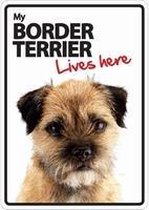 Border Terrier lives here