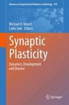 Synaptic Plasticity