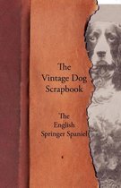 The Vintage Dog Scrapbook - The English Springer Spaniel