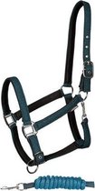 RelaxPets - Harry's Horse - Halster & Touw - Glitter - Teal - Cob