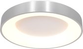 Steinhauer - Plafondlamp Ringlede Ø 30 cm 3086 zilver