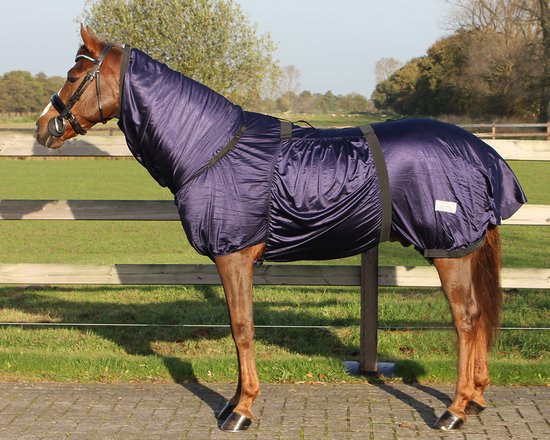 Bruine paard met een glimmende marineblauwe eczeemdeken, met kruissingels en een nekstuk. Staan op een steenpad met gras en hek in de achtergrond.
