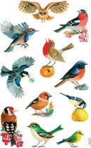 stickervel Vogels junior 7,6 x 12 cm papier 33-delig