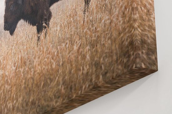 Artaza - Peinture sur toile - Bison dans l'herbe - 100 x 80 - Groot - Photo sur toile - Impression sur toile