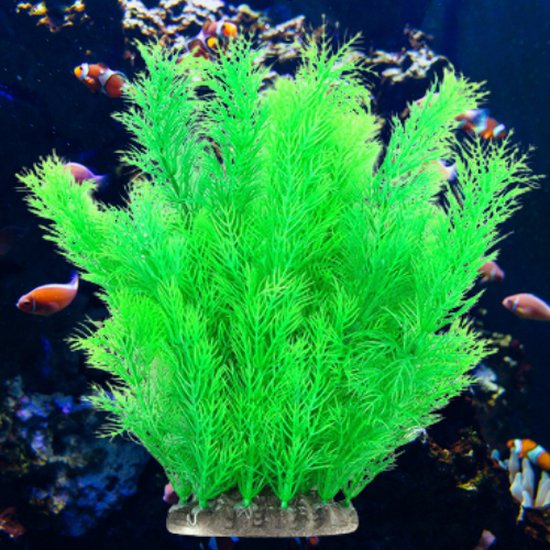 krans Stevenson Berg kleding op ✿BrenLux - Aquarium decoratie – Koraal groen - Kunstplant Aquarium 25cm -  Planten voor... | bol.com