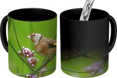 Magische Mok - Foto op Warmte Mokken - Koffiemok - Een putter tussen paarse bloemen - Magic Mok - Beker - 350 ML - Theemok