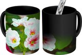 Magische Mok - Foto op Warmte Mok - Roze primula - 350 ML