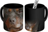 Magische Mok - Foto op Warmte Mokken - Koffiemok - Portret van Rottweiler hond in de studio - Magic Mok - Beker - 350 ML - Theemok