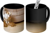 Magische Mok - Foto op Warmte Mok - Hond met drie pups - 350 ML