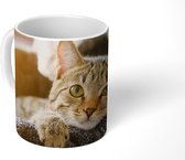 Mok - Koffiemok - Kat - Mand - Kleed - Mokken - 350 ML - Beker - Koffiemokken - Theemok