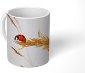 Mok - Lieveheersbeestje op gras - 350 ML - Beker