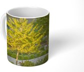 Mok - Natuur in de stad - 350 ML - Beker