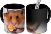 Magische Mok - Foto op Warmte Mokken - Koffiemok - Hamster eet kleurrijk voedsel - Magic Mok - Beker - 350 ML - Theemok