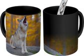 Magische Mok - Foto op Warmte Mok - Wolf - Steen - Bos - Herfst - 350 ML