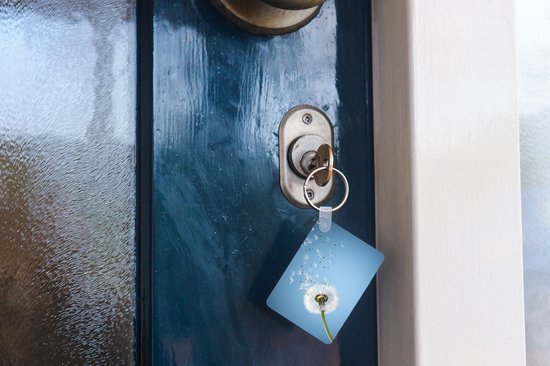 Porte-clés Pissenlits - Les spores de pissenlit soufflent porte-clés en plastique - porte-clés rectangulaire avec photo