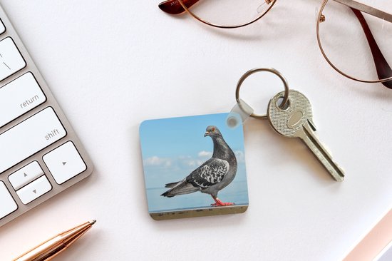 Porte-clés Duif - Une colombe grise devant un ciel bleu Porte-clés plastique - Porte-clés carré avec photo