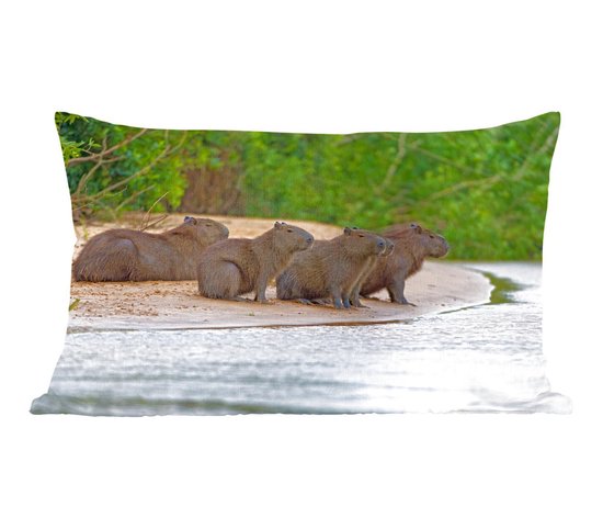 Sierkussens - Kussen - Vier Capibara's die op een zandbank zitten in Pantanal - 50x30 cm - Kussen van katoen