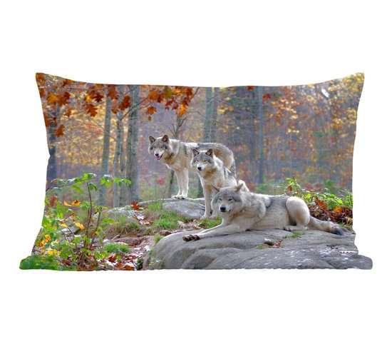 Sierkussens - Kussen - Drie wolven in de herfst - 50x30 cm - Kussen van katoen