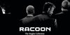 Racoon - The Singles Collection (2 LP)
