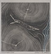 Needtobreathe - Rivers In The Wasteland (LP)