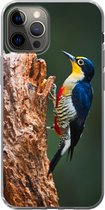 Geschikt voor iPhone 13 Pro hoesje - Close-up van een kleurrijke vogel op de zijkant van een boomstronk - Siliconen Telefoonhoesje