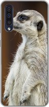 Geschikt voor Samsung Galaxy A50 hoesje - Stokstaartje - Dier - Wild - Siliconen Telefoonhoesje