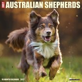 Australian Shepherd Kalender 2022