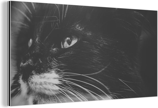 Wanddecoratie Metaal - Aluminium Schilderij Industrieel - Dierenprofiel opzij kijkende kat in zwart-wit - 40x20 cm - Dibond - Foto op aluminium - Industriële muurdecoratie - Voor de woonkamer/slaapkamer