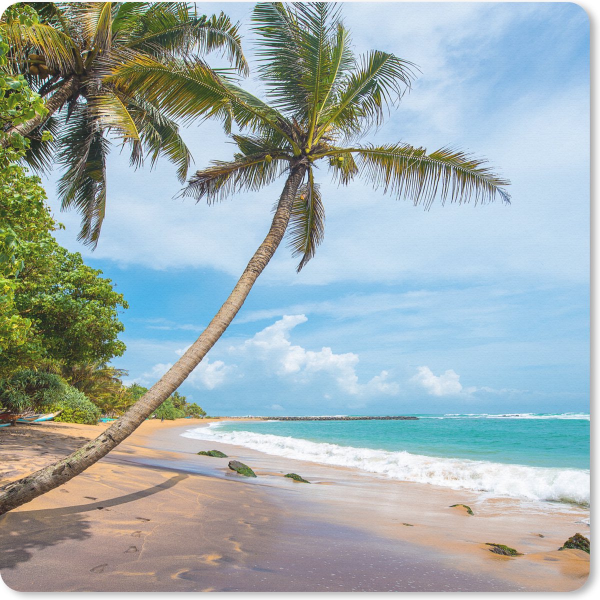 Muismat 30x30 cm - Mousepad Palmboom - Strand - Zee - Muismatten