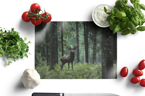 Planche à découper en Verres - 28x20 - Cerf - Forêt - Nature - Planches à découper en Glas