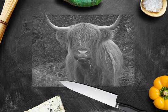 Planche à découper en Verres - Glas - Une vache Highlander écossaise en train de manger - noir et blanc - Planches à découper